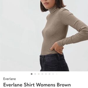 Everlane women's Turtleneck Sweater in Brown